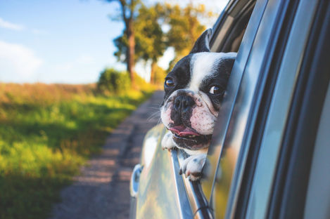 How will Auto Shocker change the way you clean your car?